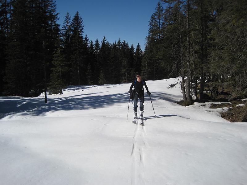 140308laterns2.JPG